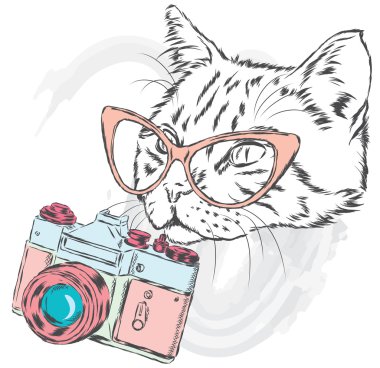 Komik kedi bir kap ve bir kamera ile. Vektör çizim. Kartları, posterler veya odzhdy için yazdırma.