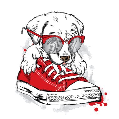 Spor ayakkabılarında oturan sevimli köpek yavrusu. Tebrik kartı, poster veya giysilere baskı için vektör çizimi.