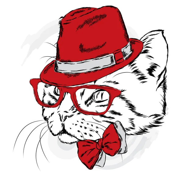 Kat in een hoed en bril. Vectorillustratie. — Stockvector