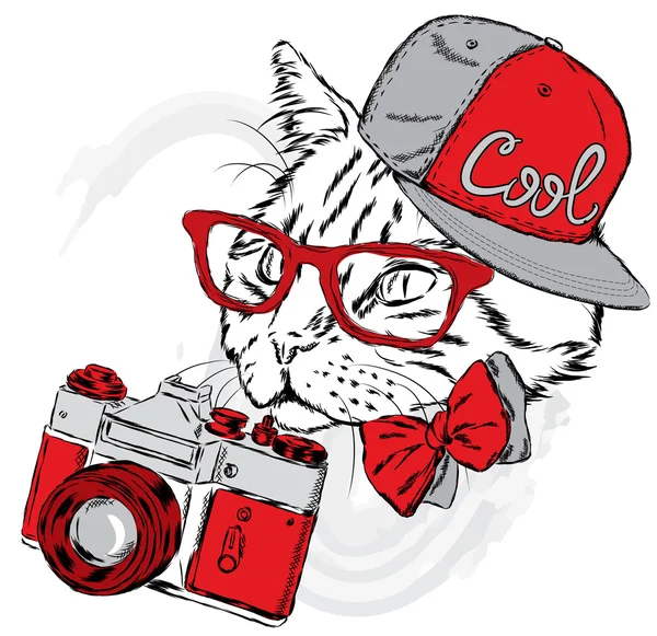 Funny cat in a cap and with a camera. Vector illustration. Print for cards, posters or odzhdy. — Stock Vector