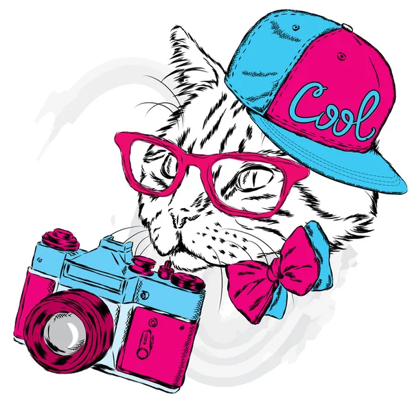 Gato gracioso con gorra y cámara. Ilustración vectorial. Imprimir para tarjetas, carteles o odzhdy . — Vector de stock