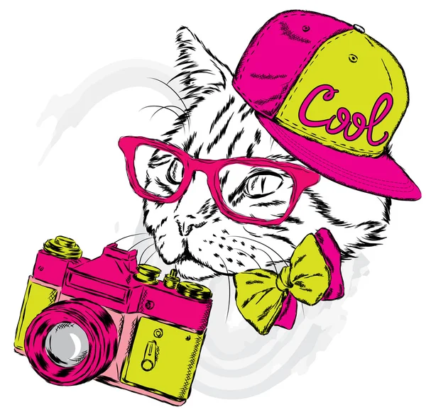 Gato engraçado em um gorro e com uma câmera. Ilustração vetorial. Imprimir para cartões, cartazes ou odzhdy . — Vetor de Stock