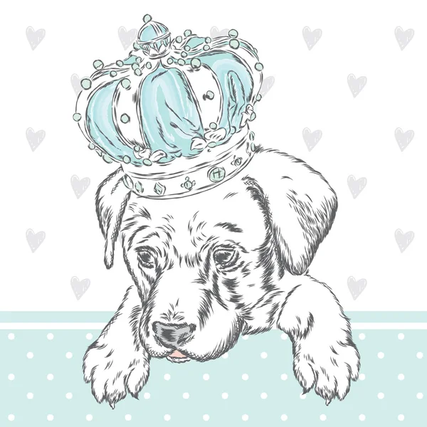 可爱的小狗戴着皇冠。用于贺卡、海报或衣服上的打印的矢量插图。狗的衣服时尚与风格. — 图库矢量图片