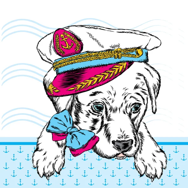 可爱的小狗在船长的帽子。用于贺卡、海报或衣服上的打印的矢量插图。狗的衣服时尚与风格. — 图库矢量图片