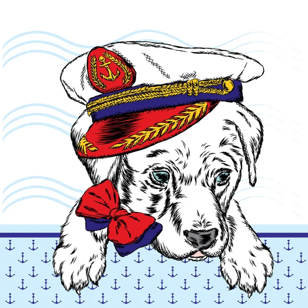 可爱的小狗在船长的帽子。用于贺卡、海报或衣服上的打印的矢量插图。狗的衣服时尚与风格. — 图库矢量图片