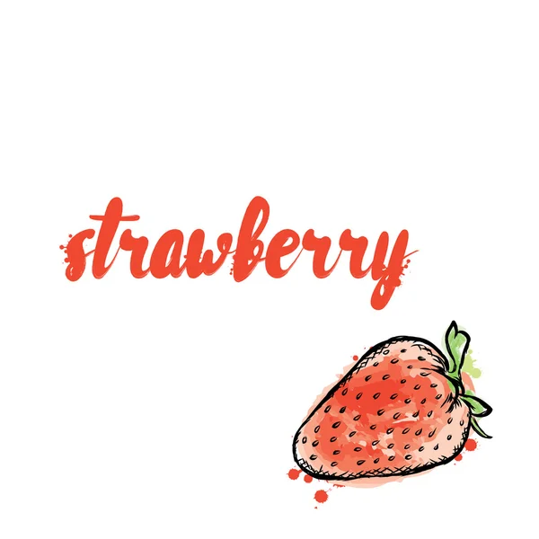 Fraises vectorielles. Illustration pour une carte ou une affiche. Vintage et aquarelle . — Image vectorielle