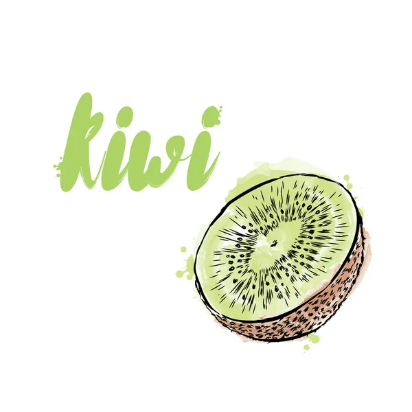 Vektorový Kiwi. Ilustrace karty nebo plakátu Vinobraní a akvarel. — Stockový vektor