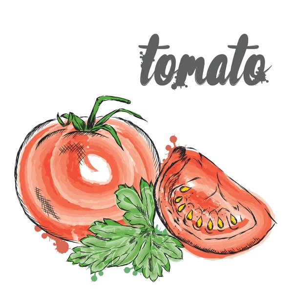 Τα λαχανικά διανύσματος. Τροφίμων. Απόθεμα φαγητού. Ντομάτα. — Διανυσματικό Αρχείο