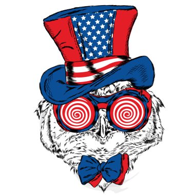 Komik baykuş alışılmadık bir şapka ve güneş gözlüğü. Vektör çizim tebrik kartı, poster ya da giyim üzerine baskı için.