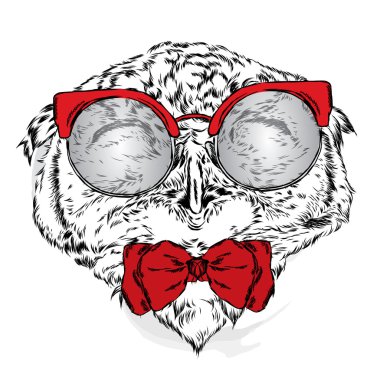 Gözlük takan komik baykuş. Bir kart veya poster için vektör çizimi. Giysi ve aksesuarlar üzerine baskı. Elle boyanmış kuş.