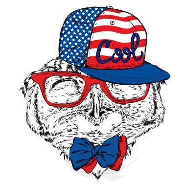 Komik baykuş gözlükleri, kravat ve şapka. Bir kart veya poster için vektör çizimi. Giysi ve aksesuarlar üzerine baskı. Elle boyanmış kuş.