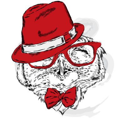 Şapka ve güneş gözlüğü takan komik baykuş. Tebrik kartı, poster veya giysilere baskı için vektör çizimi. Hipster. Kuş kıyafetleri. Moda & Stil.