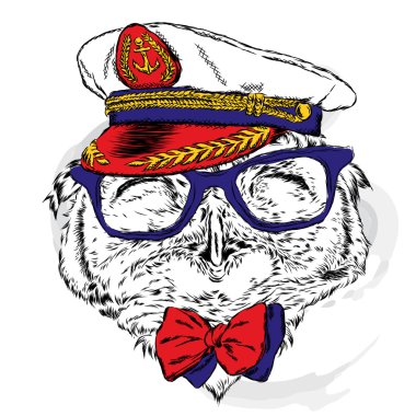 Kaptan'ın cap, gözlük ve kravat komik baykuş. Vektör çizim için tebrik kartı, poster ya da baskı dökmeyin. Hippi. Kuş giyim. Moda ve stil. Denizci.