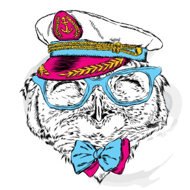 Kaptan'ın cap, gözlük ve kravat komik baykuş. Vektör çizim için tebrik kartı, poster ya da baskı dökmeyin. Hippi. Kuş giyim. Moda ve stil. Denizci.