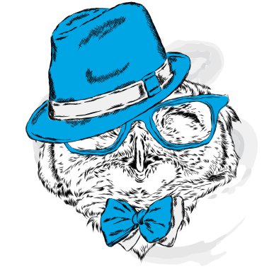 Şapka ve güneş gözlüğü takan komik baykuş. Tebrik kartı, poster veya giysilere baskı için vektör çizimi. Hipster. Kuş kıyafetleri. Moda & Stil.