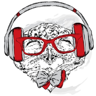 Kulaklık ve güneş gözlüğü takan komik baykuş. Tebrik kartı, poster veya giysilere baskı için vektör çizimi. Hipster. Kuş kıyafetleri. Moda ve Stil. Müzik.