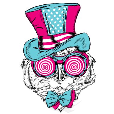 Komik baykuş alışılmadık bir şapka ve güneş gözlüğü. Vektör çizim tebrik kartı, poster ya da giyim üzerine baskı için.