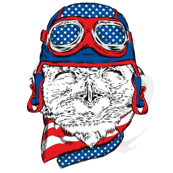 Funny owl in biker helmet. Vector illustration for greeting card, poster, or print on clothes. Pilot. Hipster. Bird clothing. Fashion & Style. — Stock Vector