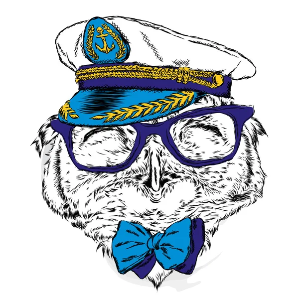 船長の帽子、眼鏡、ネクタイで面白いフクロウ。服にプリントやポスター、グリーティング カードのベクトル図です。流行に敏感。鳥の服。ファッション ・ スタイル。セーラー. — ストックベクタ