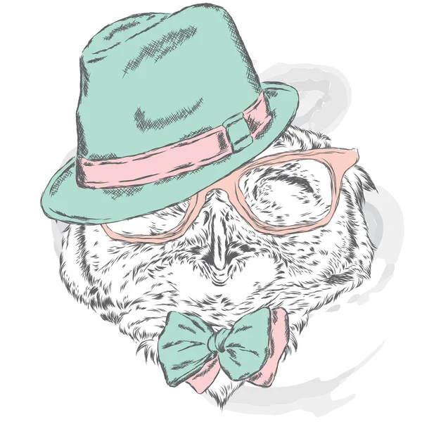 有趣的猫头鹰戴着帽子和太阳镜。用于贺卡、海报或衣服上的打印的矢量插图。时髦。鸟的衣服时尚与风格. — 图库矢量图片
