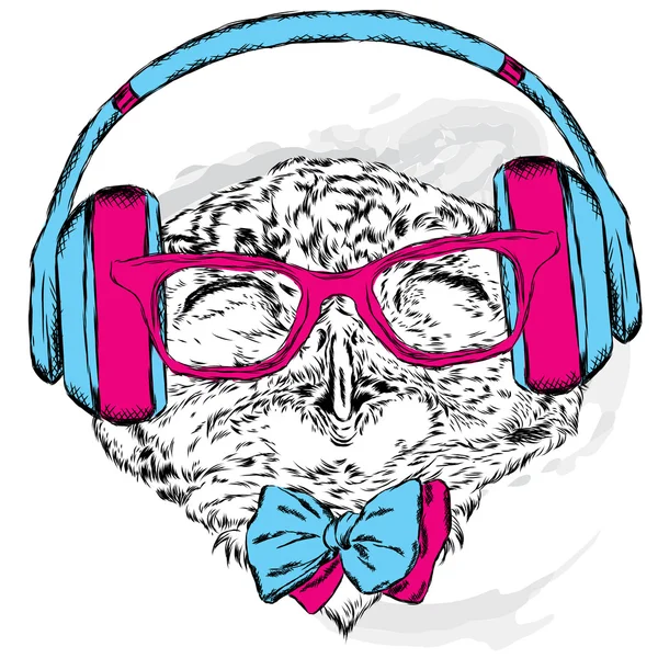 Lustige Eule mit Kopfhörern und Sonnenbrille. Vektor-Illustration für Grußkarte, Poster oder Druck auf Kleidung. Hipster. Vogelkleidung. Mode & Stil. Musik. — Stockvektor