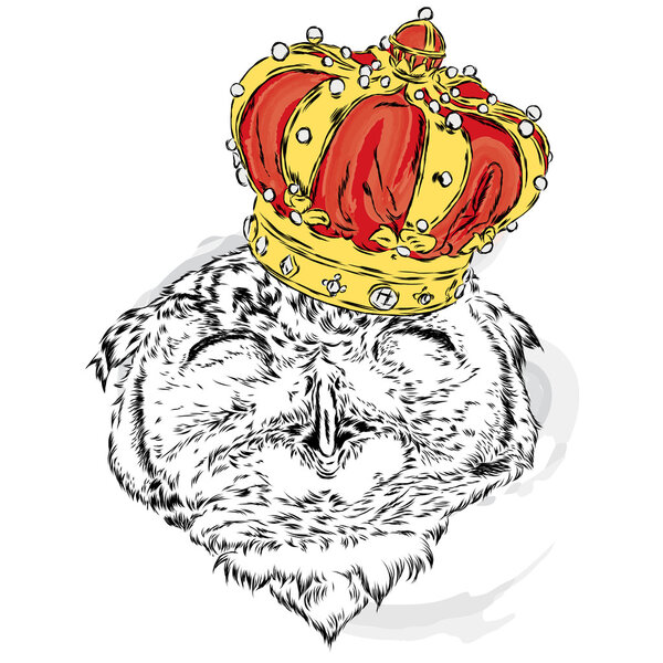 Funny owl wearing a crown. Vector illustration for greeting card, poster, or print on clothes. Hipster. Bird clothing. Fashion & Style.