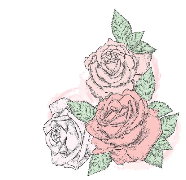 De belles roses vintage. Illustration vectorielle pour une carte, une affiche ou une impression . — Image vectorielle