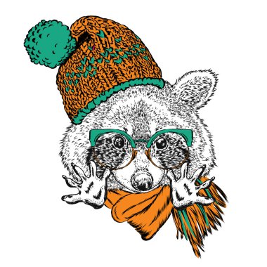 Komik Rakun şapka, eşarp ve gözlük. Bir kartı veya poster, elbiselere yazdırma için vektör çizim.