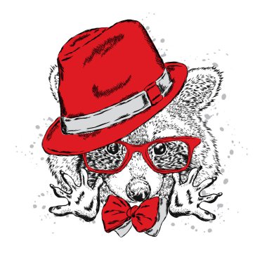 Şapka ve güneş gözlüğü ile şirin Rakun. Hayvan giyim. Hipster.