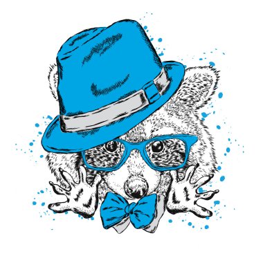 Şapka ve güneş gözlüğü ile şirin Rakun. Hayvan giyim. Hipster.