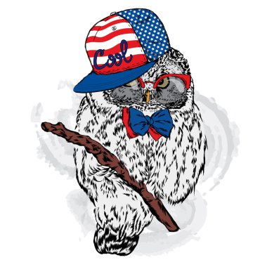 Şirin baykuş bir şapka ve güneş gözlüğü. Bir kartı veya poster için vektör çizim. Hippi. El çizimleri topluluğu.