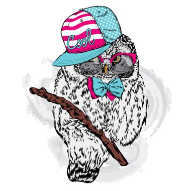 Şirin baykuş bir şapka ve güneş gözlüğü. Bir kartı veya poster için vektör çizim. Hippi. El çizimleri topluluğu.