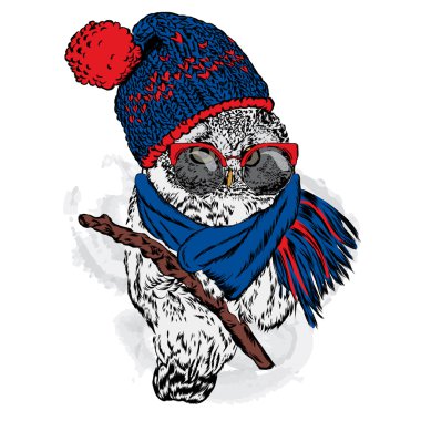 Şirin baykuş şapka ve atkı takmış. Vektör çizim için tebrik kartı, poster ya da baskı dökmeyin. Sonbahar ya da kış.