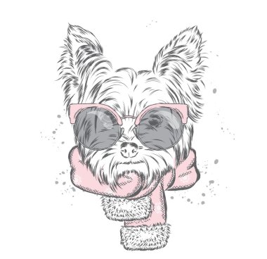 Bir eşarp şirin köpek yavrusu. Bir kartı veya poster için vektör çizim. Kıyafetlere yazdırın. Güzel köpek. Yeni yıl ve Noel. Kış. Sıcak giysiler.