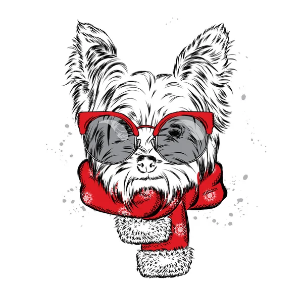 Симпатичный щенок в шарфе. Векторная иллюстрация для открытки или плаката. Печать на одежде. Красивая собака. Новый год и Рождество. Зима. Теплая одежда . — стоковый вектор