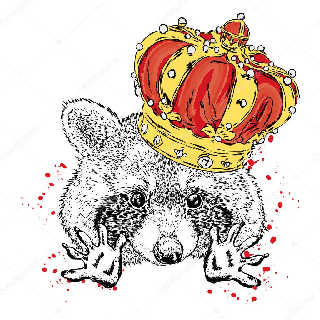 Cute raccoon in the crown. Vector illustration.