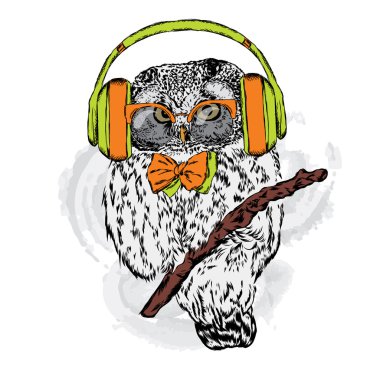 Baykuş kulaklıklarla. Vektör çizim tebrik kartı, poster ya da giyim üzerine baskı için.