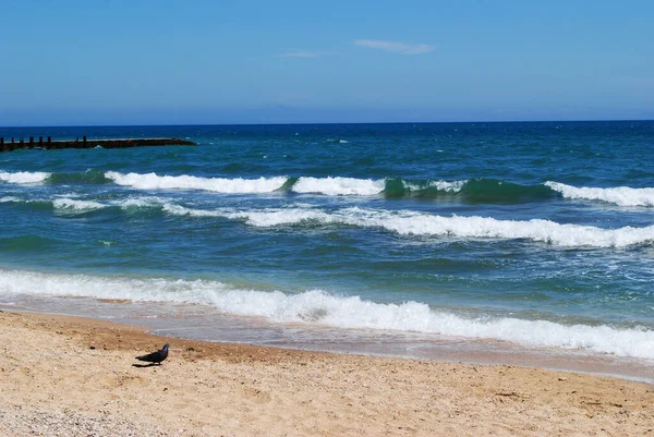 Raging Waves Golden Beach Black Sea Coast — Zdjęcie stockowe