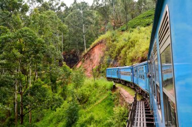 Srilanka dağlarında Colombo 'dan Badulla' ya tren