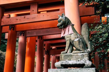 Japonya 'nın Kyoto kentindeki Fushimi Inari Taisha Tapınağı' nda kırmızı torii kapıları olan Fox heykeli