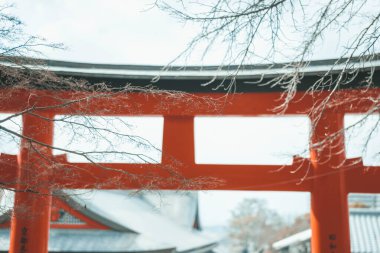 Japonya 'nın Kyoto kentindeki Fushimi Inari Taisha Tapınağı' nın kırmızı torii kapıları