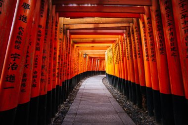 Japonya 'nın Kyoto kentindeki Fushimi Inari Taisha Tapınağı' nın binlerce kırmızı torii kapısı