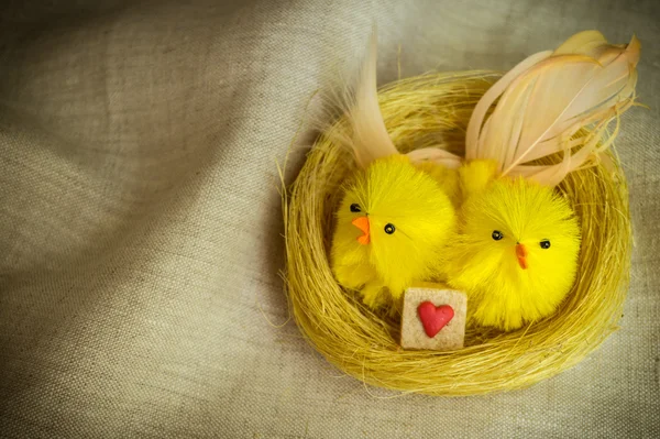 Couple d'oiseaux dans le nid d'or avec ourson décoré de sucre brun — Photo