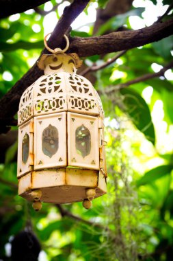 Bir ağaca tutunan antika Mumluk 