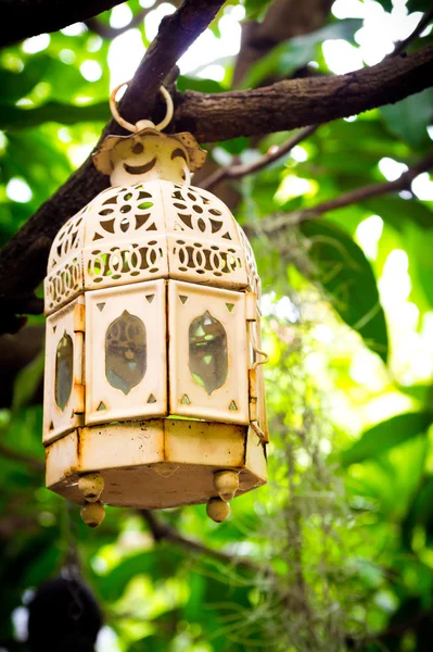 Bir ağaca tutunan antika Mumluk 