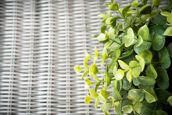 Wickerwork arka plan üzerinde yapay ağaç