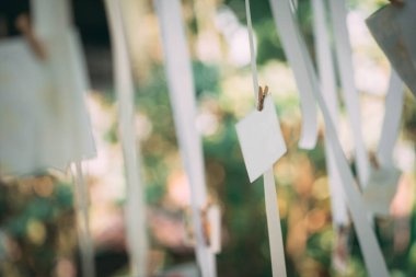 Bir düğün töreninde fotoğraf çekimi için boş beyaz kart asmak. Güzel bir bokeh bahçesi arka planına karşı tahta klipslerle ve beyaz kurdelelerle süslenmiş. Romantik atmosfer.