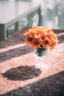 Kristal bir vazoda güzel turuncu papatya çiçekleri. Dramatik doğal güneş ışığı ve kahverengi kadife bir masanın üzerindeki gölge. Zarif iç dekorasyon konsepti.