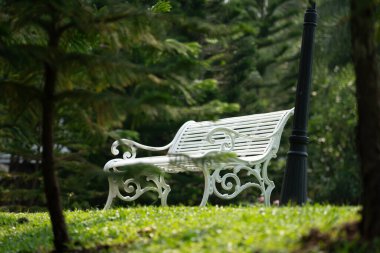 Çam ağaçlarıyla çevrili yeşil bir çimenlikte romantik beyaz metal bank. Yumuşak doğal ışıklandırma ve güzel bulanık arkaplan manzaralı huzurlu bahçe atmosferi.