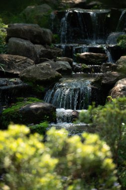 Katmanlı taştan bir şelaleden dökülen berrak suyun detaylı görüntüsü. Huzurlu bir tropikal bahçede kayalar üzerinde yemyeşil yosunlar ve yumuşak ön planda yapraklar..